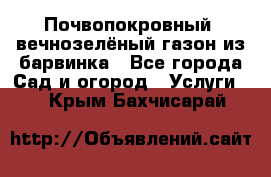 Почвопокровный, вечнозелёный газон из барвинка - Все города Сад и огород » Услуги   . Крым,Бахчисарай